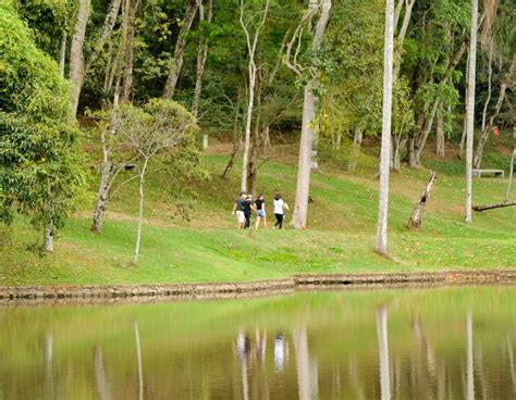  Jardim Botânico de Aracaju: Oaza spokoju w sercu stolicy Sergipe!