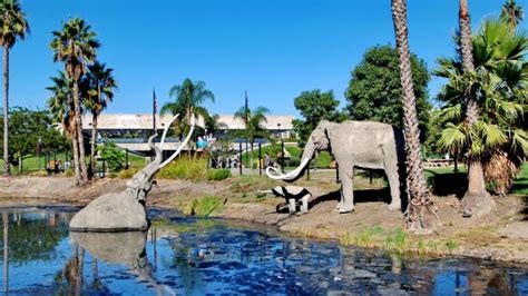 The La Brea Tar Pits: A Sticky Situation for Prehistoric Beasts and Modern Tourists!