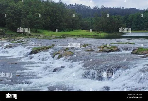 Ooty Lake: Zwiedzaj malownicze jezioro otoczone górami Nilgiri!